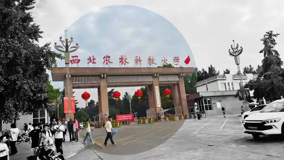 破次元的色彩對(duì)撞：反色差奇遇:色彩色差儀
