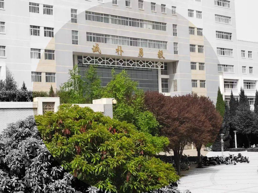 破次元的色彩對(duì)撞：反色差奇遇:色彩色差儀
